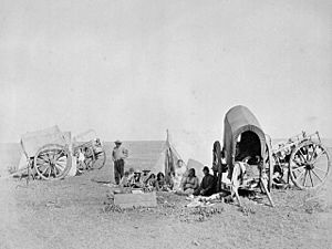 Métis camp