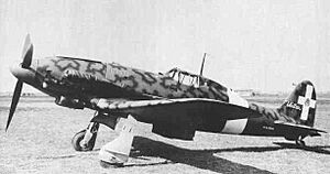 Macchi MC.205