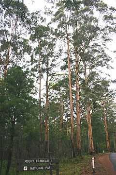 Mount Frankland National Park.jpg