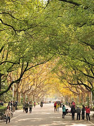 Nanjing University, Gulou Campus