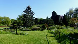 Ornamental Garden at Hall Place