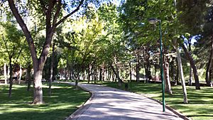 Parque Polígono San Antón. Albacete