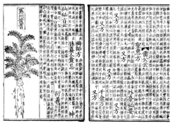 Pen ts'ao, woodblock book 1249-ce