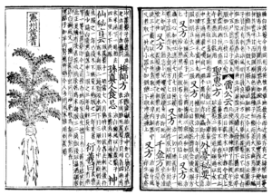 Pen ts'ao, woodblock book 1249-ce