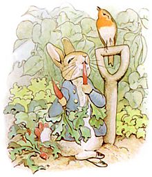 PeterRabbit8.jpg