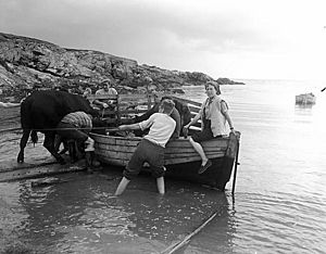 Pilgrimage to Bardsey Island (5099145559)