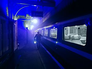 Polar Express train at Dereham