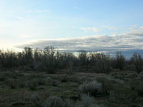 Potholes State Park.jpg