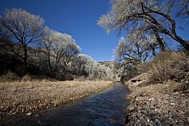 San Pedro Riparian NCA 3