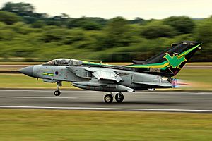 Tornado GR4 - RIAT 2015 (20740806470)