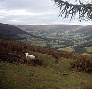 Vale of Ewyas