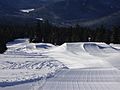 Wintersports terrain park P1391