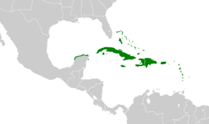 Zenaida aurita map.svg