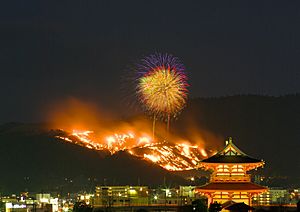 090124 wakakusa yamayaki