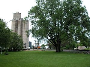 Grain elevator and the BNSF Railway in Erie.