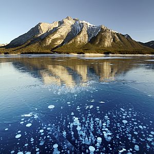 Abraham Lake - bubbles