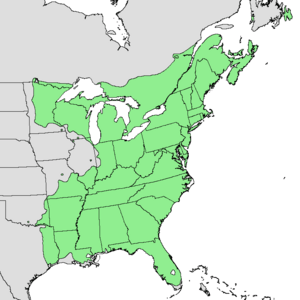 Acer rubrum range map.png