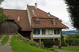 The Noble's Manor House in Allmendingen