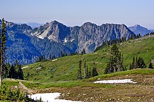 Alpine Meadow (200540915)