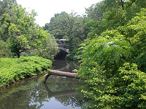 Bronx River northern NYBG jeh