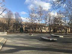 Brower Park Skatepark