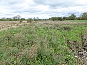 Bulwick Meadows 6.jpg