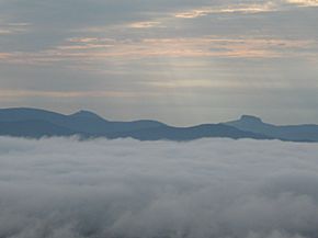 Cabin-Mts. 8-1-2011 49