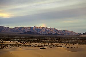 Cadiz Dunes Wilderness