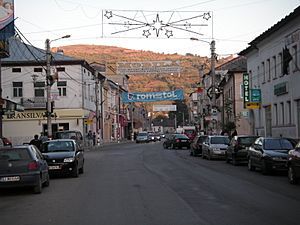 Central Viseu de Sus