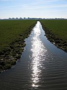 Ditch in the Netherlands