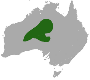 Fat-tailed False Antechinus area.png