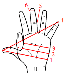 Hand Units of Measurement