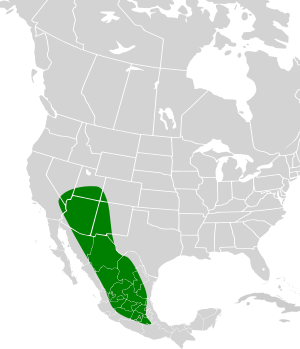 Idionycteris phyllotis map.svg