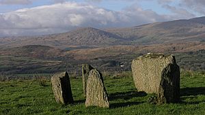 Kealkill Stone Circle (geograph 3325717)