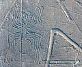 Líneas de Nazca, Nazca, Perú, 2015-07-29, DD 54