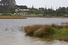 Lake Ngatu 02.jpg