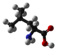 Leucine-ball-and-stick.png