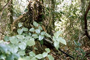 Marine sniper ghillie suit