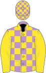 Mauve and yellow check, yellow sleeves