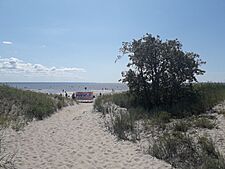 Pärnu beach 2023.jpg