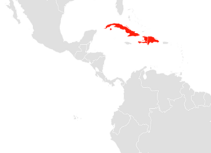 Phyllonycteris poeyi map.png