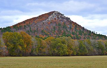 Pinnacle Mountain 20171118 1632.jpg