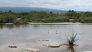 PtoVillamilPozaDeLosFlamingos