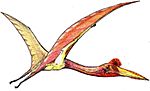 Quetzalcoatlus07