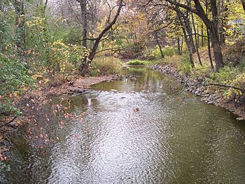 Rice Creek Fridley