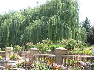 Ricks Memorial Gardens