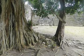 Ruins in jungles