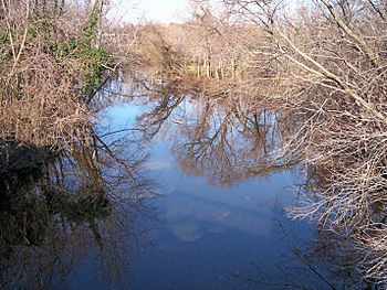 Saint Jones River.jpg