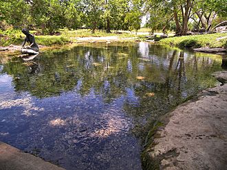 Salado springs 2008.jpg