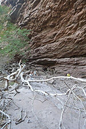 Sibudu cave KZN 01